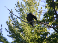 img_4981.jpg